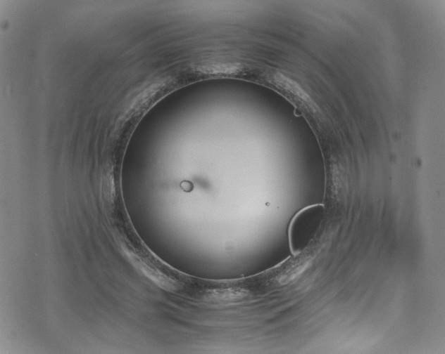 X0000072500541200607141132