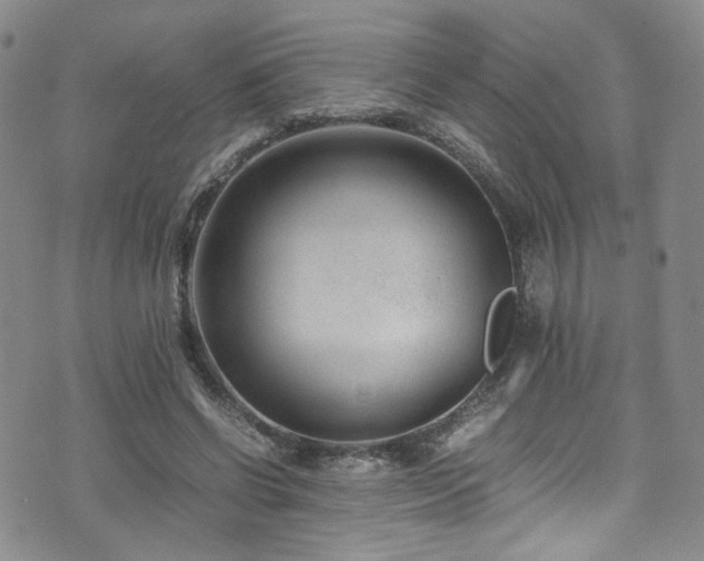 X0000072500542200607141132