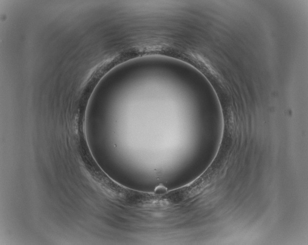 X0000072500543200607141132