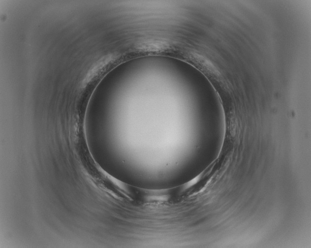 X0000072500544200607141132