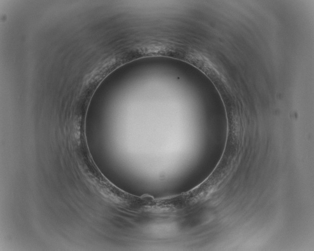 X0000072500545200607141132