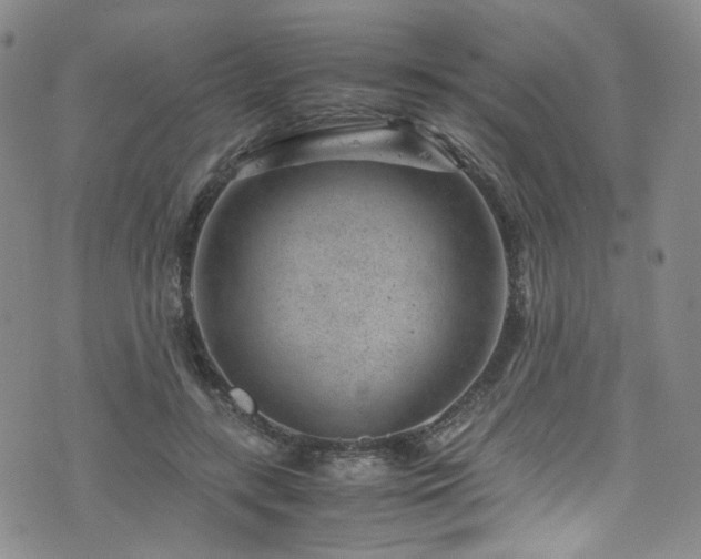 X0000072500547200607141132