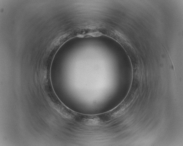 X0000072500548200607141132