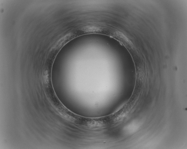 X0000072500549200607141132