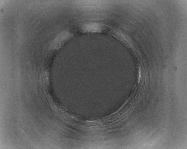 X0000072500551200607141132