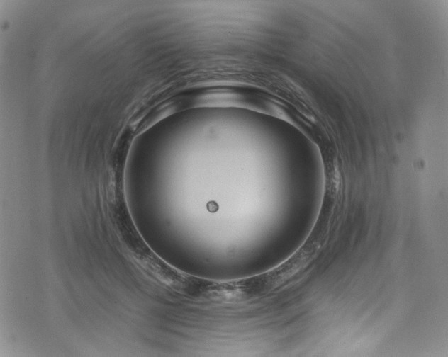 X0000072500552200607141132