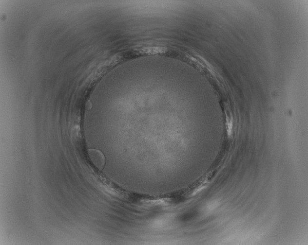 X0000072500553200607141132