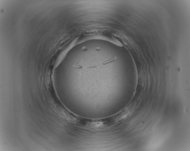 X0000072500554200607141132