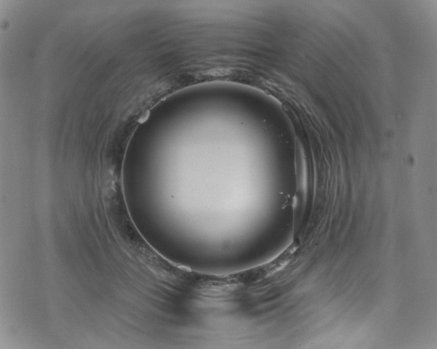 X0000072500555200607141132