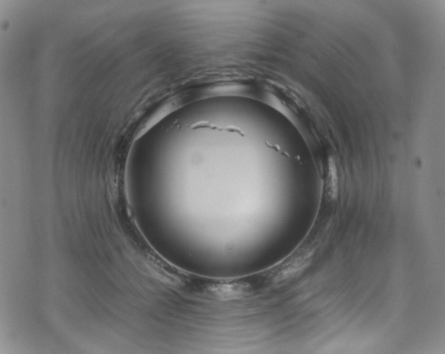 X0000072500558200607141132