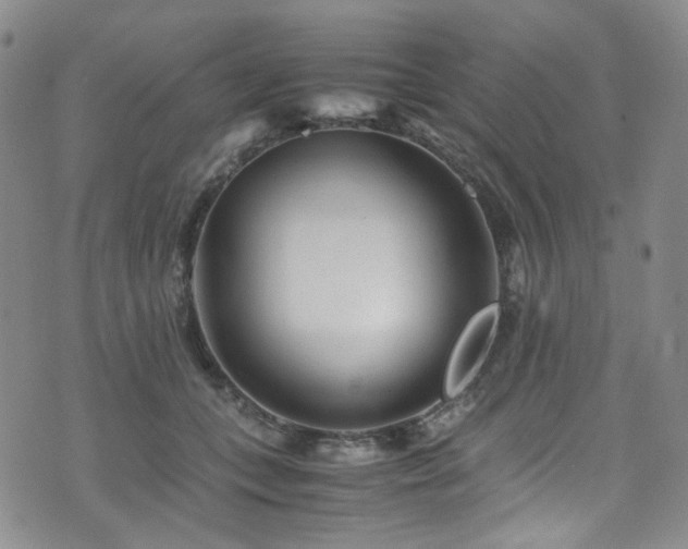 X0000072500559200607141132