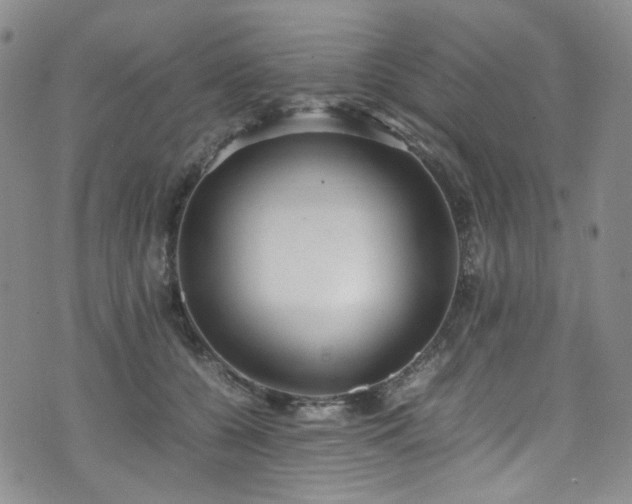 X0000072500560200607141132