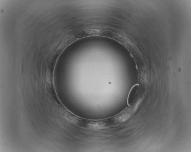 X0000072500561200607141132