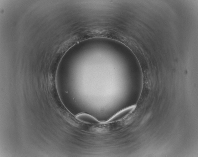 X0000072500563200607141132