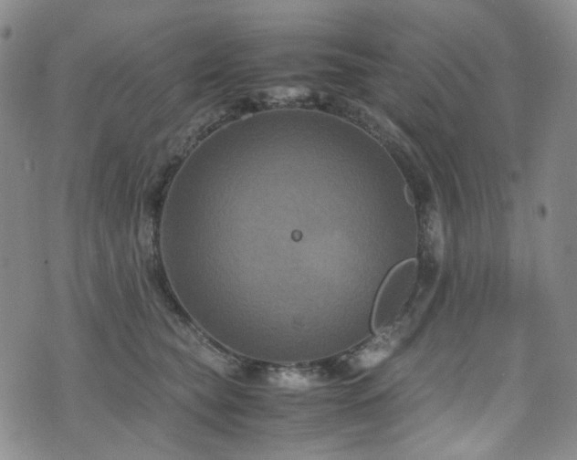 X0000072500565200607141132