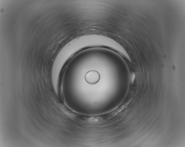 X0000072500566200607141132