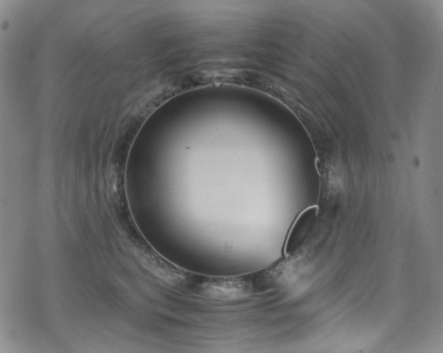 X0000072500567200607141132