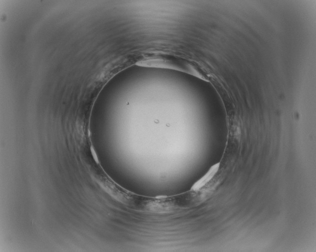 X0000072500568200607141132