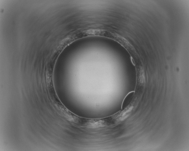 X0000072500569200607141132