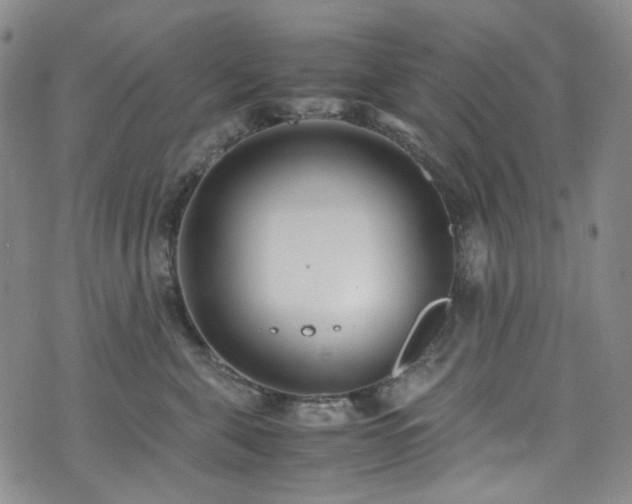 X0000072500571200607141132