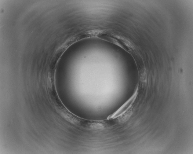 X0000072500572200607141132