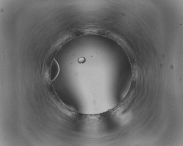 X0000072500573200607141132