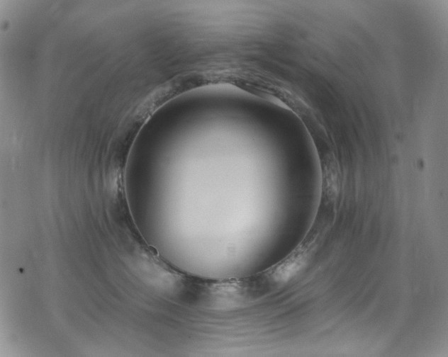 X0000072500574200607141132