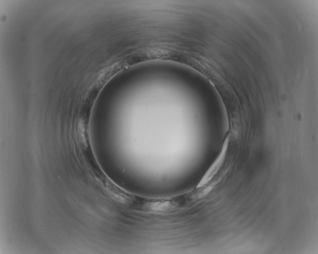 X0000072500575200607141132