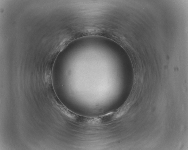 X0000072500576200607141132