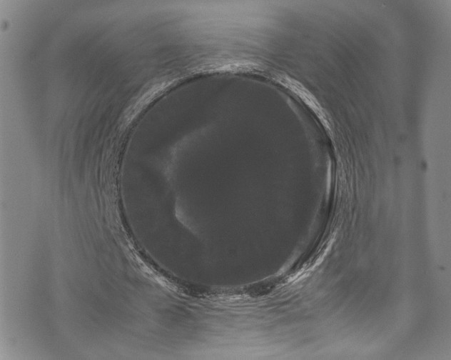 X0000072500577200607141132