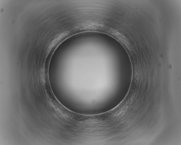 X0000072500578200607141132