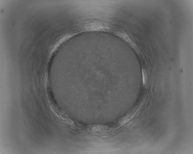 X0000072500579200607141132