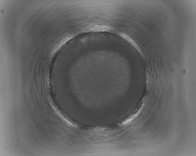 X0000072500581200607141132