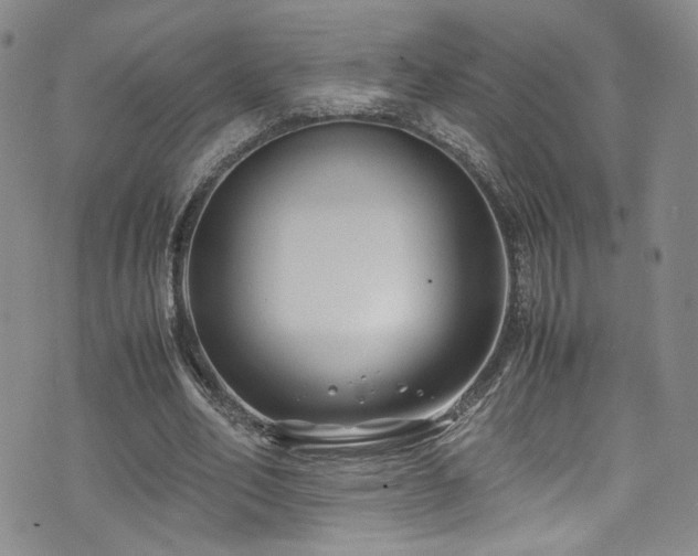 X0000072500582200607141132