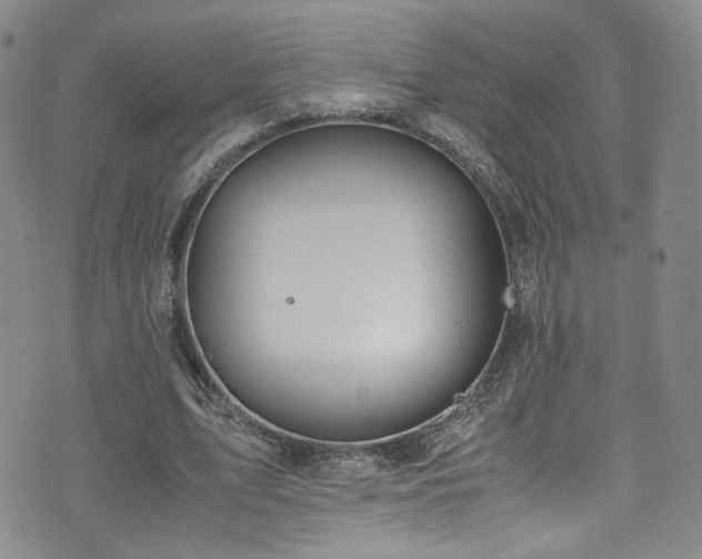 X0000072500583200607141132