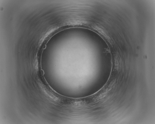 X0000072500584200607141132