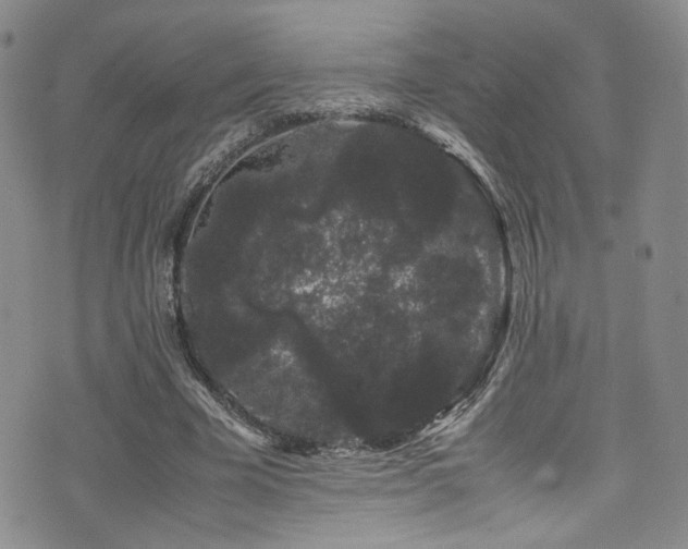 X0000072500585200607141132