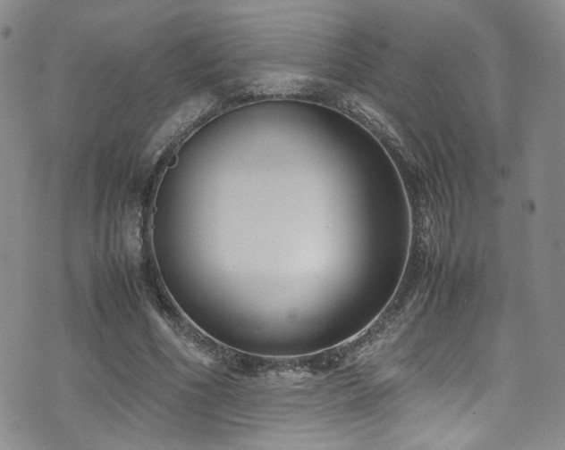 X0000072500586200607141132