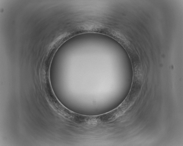 X0000072500587200607141132