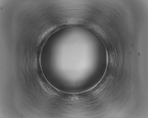 X0000072500588200607141131