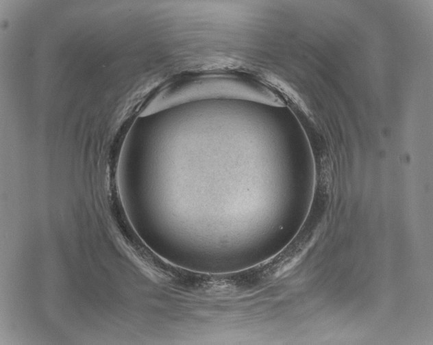 X0000072500589200607141131