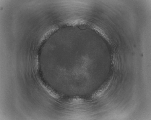 X0000072500590200607141131