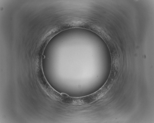 X0000072500591200607141131