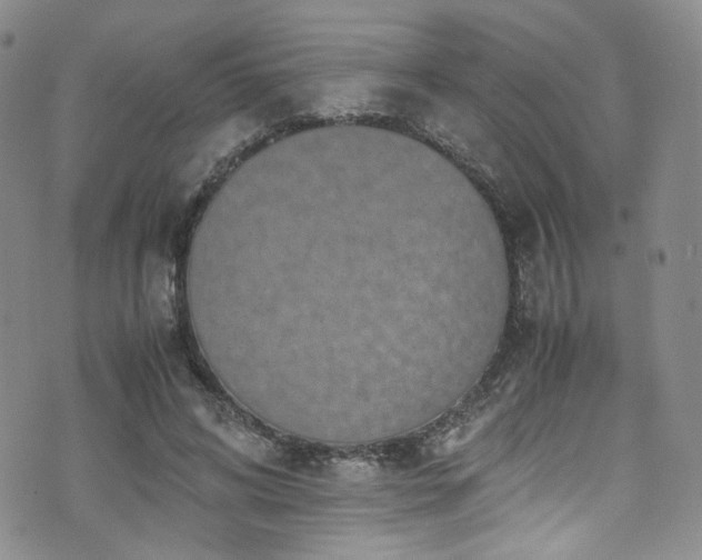 X0000072500592200607141131