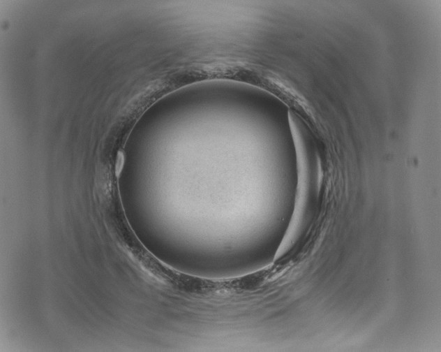 X0000072500593200607141131