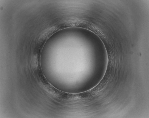 X0000072500594200607141131