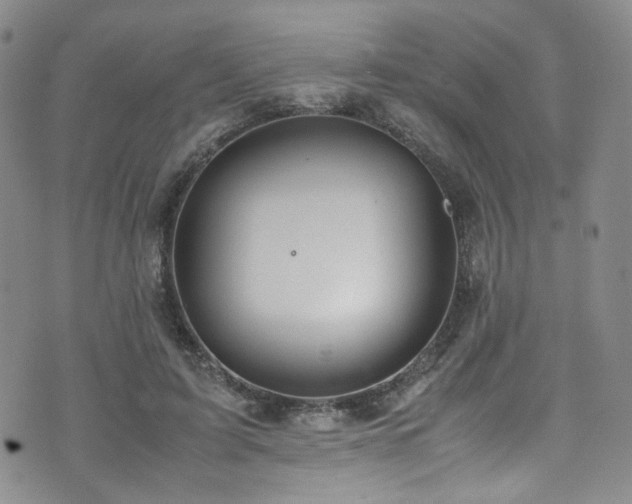 X0000072500595200607141131