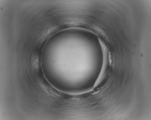 X0000072500596200607141131