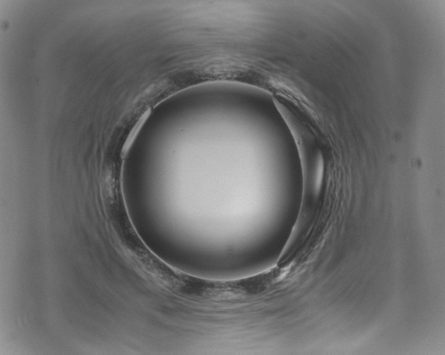 X0000072500597200607141131