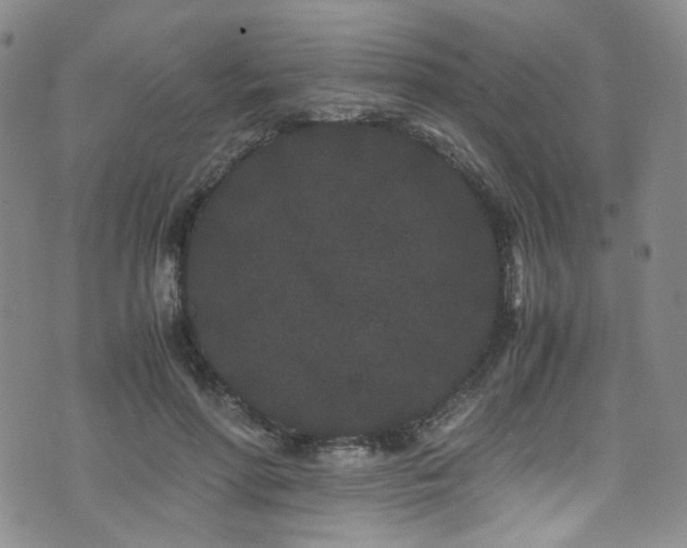 X0000072500598200607141131